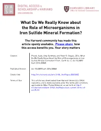 What Do We Really Know About the Role of Microorganisms in Iron Sulfide Mineral Formation?