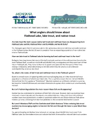 What's the Deal with Flathead Lake and Lake Trout