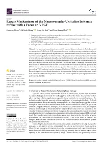 Repair Mechanisms of the Neurovascular Unit After Ischemic Stroke with a Focus on VEGF
