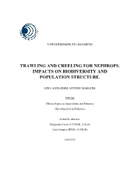 Trawling and Creeling for Nephrops. Impacts on Biodiversity and Population Structure
