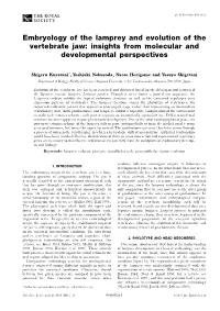 Embryology of the Lamprey and Evolution of the Vertebrate Jaw: Insights from Molecular and Developmental Perspectives