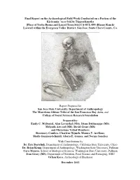 Final Report on the Archaeological