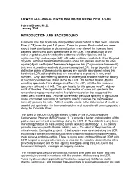 Lower Colorado River Bat Monitoring Protocol