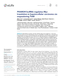 PHAROH Lncrna Regulates Myc Translation in Hepatocellular