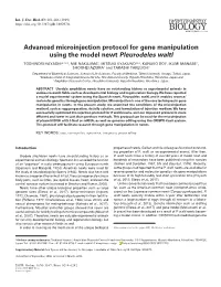 Advanced Microinjection Protocol for Gene Manipulation Using the Model