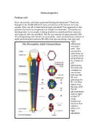 Enhancer Genetics Problem Set E How Are