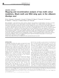 Mapping and Recombination Analysis of Two Moth Colour Mutations, Black Moth and Wild Wing Spot, in the Silkworm Bombyx Mori