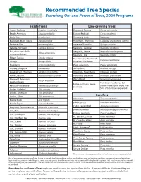 Recommended Species List
