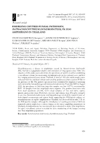 Research Article EMERGING CHYTRID FUNGAL PATHOGEN, BATRACHOCHYTRIUM DENDROBATIDIS, in ZOO AMPHIBIANS in THAILAND