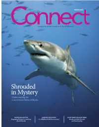 Shrouded in Mystery Understanding the Conservation Status of Sharks