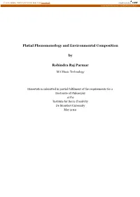 Platial Phenomenology and Environmental Composition