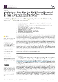 The N-Terminal Domain of the Spike Protein As Another Emerging Target for Hampering the SARS-Cov-2 Attachment to Host Cells