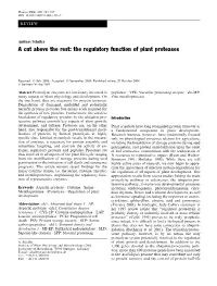 A Cut Above the Rest: the Regulatory Function of Plant Proteases