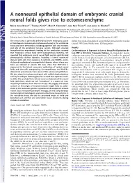 A Nonneural Epithelial Domain of Embryonic Cranial Neural Folds Gives Rise to Ectomesenchyme