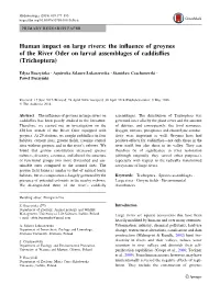 The Influence of Groynes of the River Oder on Larval Assemblages Of