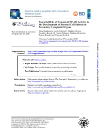 Essential Role of Canonical NF-Κb Activity in the Development of Stromal Cell Subsets in Secondary Lymphoid Organs