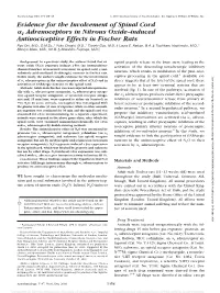 Evidence for the Involvement of Spinal Cord 1 Adrenoceptors in Nitrous