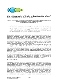 Life History Traits of Endler's Fish (Poecilia Wingei)