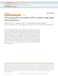 Uncovering De Novo Gene Birth in Yeast Using Deep Transcriptomics