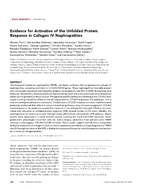 Evidence for Activation of the Unfolded Protein Response in Collagen IV Nephropathies
