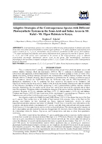 Adaptive Strategies of the Centrospermeae Species with Different Photosynthetic Systems in the Semi-Arid and Saline Areas in Mt