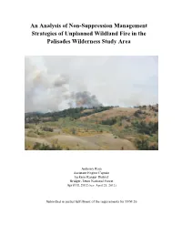 An Analysis of Non-Suppression Management Strategies of Unplanned Wildland Fire in the Palisades Wilderness Study Area