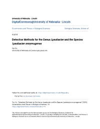 Lysobacter Enzymogenes