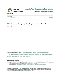 Mulesing and Tailstripping : for the Prevention of Fly-Strike
