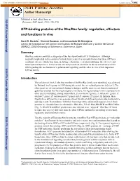 NIH Public Access Provided by Digital.CSIC Author Manuscript Bioessays