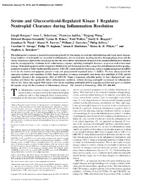 Serum and Glucocorticoid-Regulated Kinase 1 Regulates Neutrophil Clearance During Inﬂammation Resolution