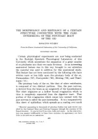 The Morphology and Histology of a Certain Structure Connected with the Pars Intermedia of the Pituitary Body Ofthe Ox1