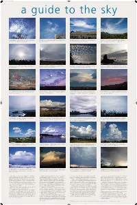 Both Stratus and Stratocumulus Clouds, Except When Their Tops Are Colder Than About “Congestus” (5C) Are the Largest Cumulus Clouds