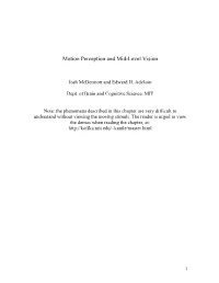 Motion Perception and Mid-Level Vision