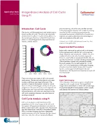 Image-Based Analysis of Cell Cycle Using PI
