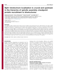 Mph1 Kinetochore Localization Is Crucial and Upstream in The
