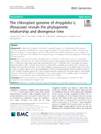 (Rosaceae) Reveals the Phylogenetic Relationship and Divergence Time
