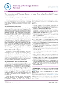 The Importance of Vascular System in Long Bone Is Far from Well Known