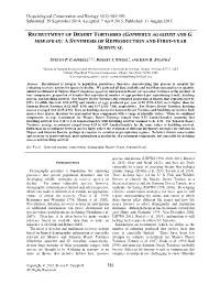 Recruitment of Desert Tortoises (Gopherus Agassizii and G