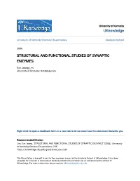 Structural and Functional Studies of Synaptic Enzymes