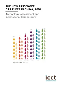 The New Passenger Car Fleet in China, 2010 Technology Assessment and International Comparisons