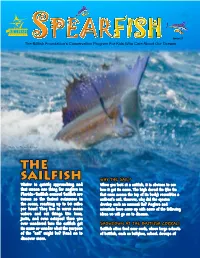 The Sailfish Why the Sail? Winter Is Quickly Approaching and When You Look at a Sailfish, It Is Obvious to See That Means One Thing for Anglers in How It Got Its Name