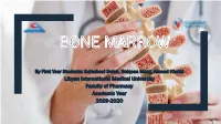 Bone Marrow.Pdf