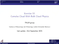 Exercise 10: Cumulus Cloud with Bulk Cloud Physics
