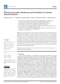 Structure, Fractality, Mechanics and Durability of Calcium Silicate Hydrates