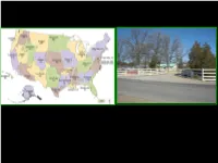 Effective Southwest Riparian Tree and Shrub Planting Methods That Require Minimal Or No Irrigation