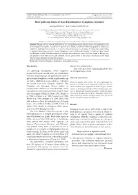 Herb Gallwasp Fauna of Iran (Hymenoptera: Cynipidae, Aylacini)