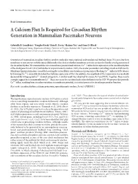 A Calcium Flux Is Required for Circadian Rhythm Generation in Mammalian Pacemaker Neurons