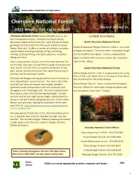 Cherokee National Forest Report 4: October 23 2020 Weekly Fall Color Report