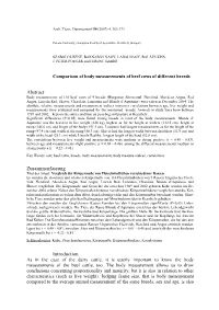 Comparison of Body Measurements of Beef Cows of Different Breeds