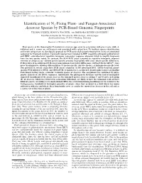 Identification of N2-Fixing Plant-And Fungus-Associated Azoarcus